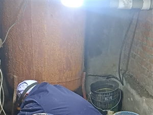 陇南都市网