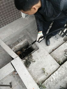 天河区兴华清理化粪池 广州美华低价位您服务 清理高清图片 高清大图